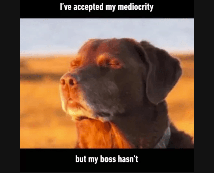 accepted-my-mediocrity-but-my-boss-hasnt.png