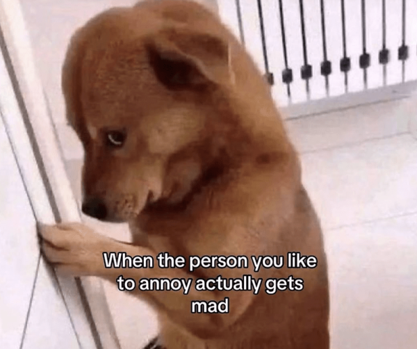 person-like-annoy-actually-gets-mad.png
