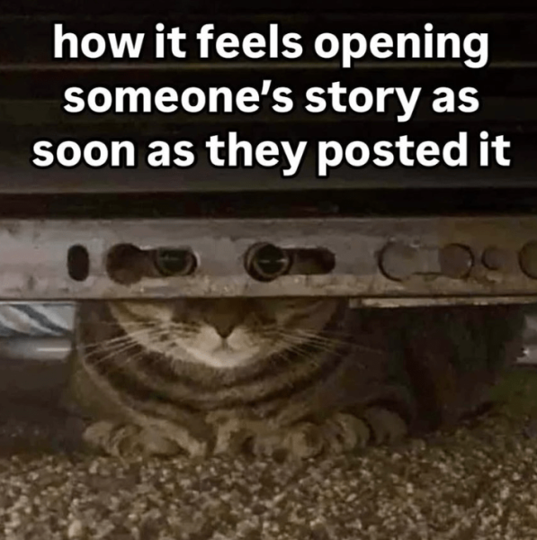 feels-opening-someones-story-as-soon-as-they-posted.png