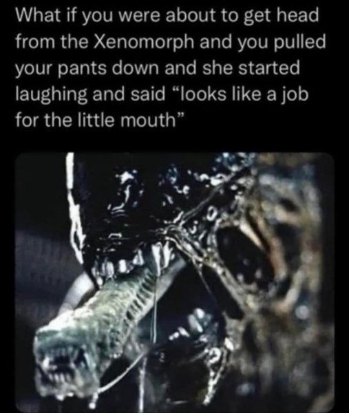 457.jpg