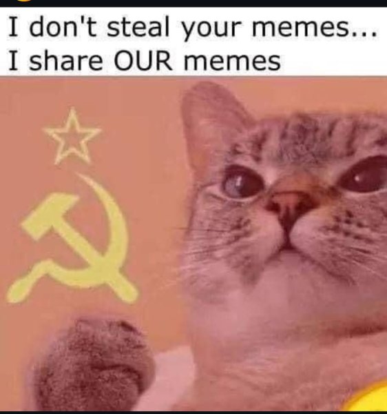 542929187_18399197842137183_4881597977764708455_n.jpg