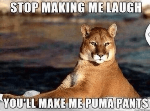 stop-making-laugh-make-puma-pants.png
