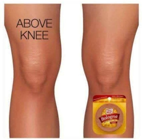 above-knee-bologna.jpg