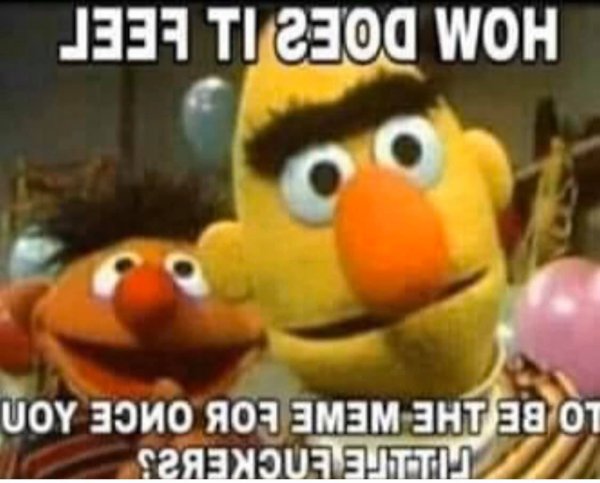 93566593_3196252963731770_2743239291772600320_n.jpg