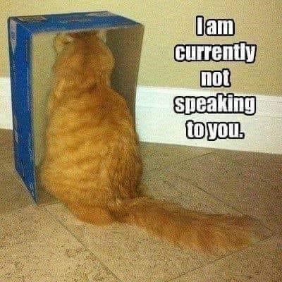 jam-currently-speaking.jpg