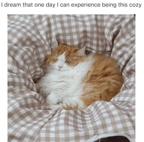 dream-one-day-can-experience-being-this-cozy.jpg