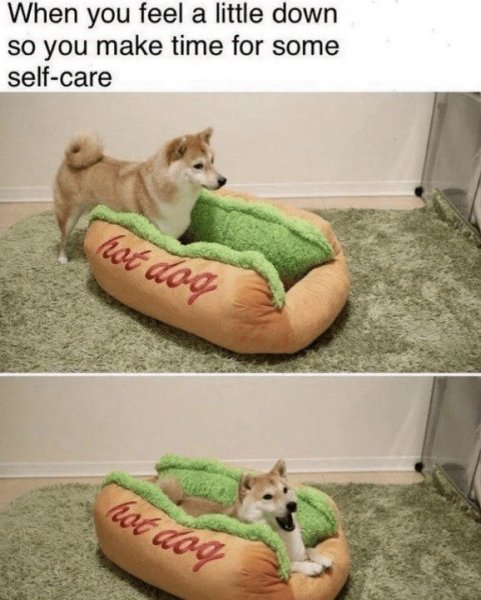 feel-little-down-so-make-time-some-self-care-hot-dog-hot-dog.jpg