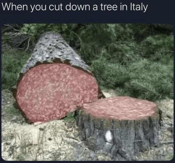 cut-down-tree-italy-official-agnew.png