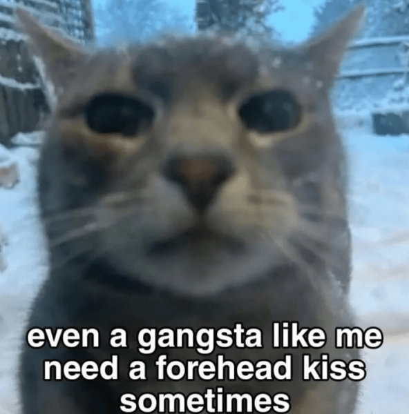 even-gangsta-like-need-forehead-kiss-sometimes.png