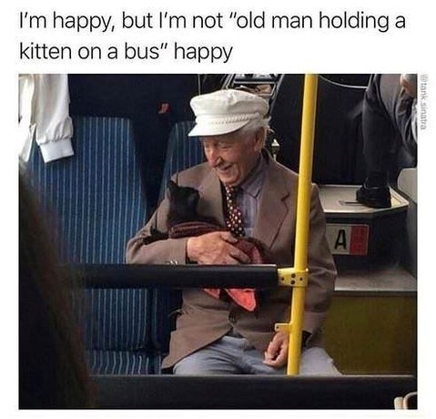 happy-but-not-old-man-holding-kitten-on-bus-happy-tank-sinatra.jpg