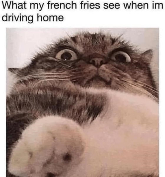 my-french-fries-see-im-driving-home.jpg