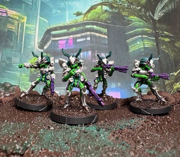 warden20250913_tohaa kaauri sentinels.jpg