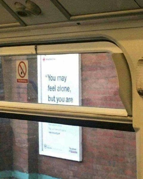 548886355_122154824750759780_1640142130640517086_n.jpg