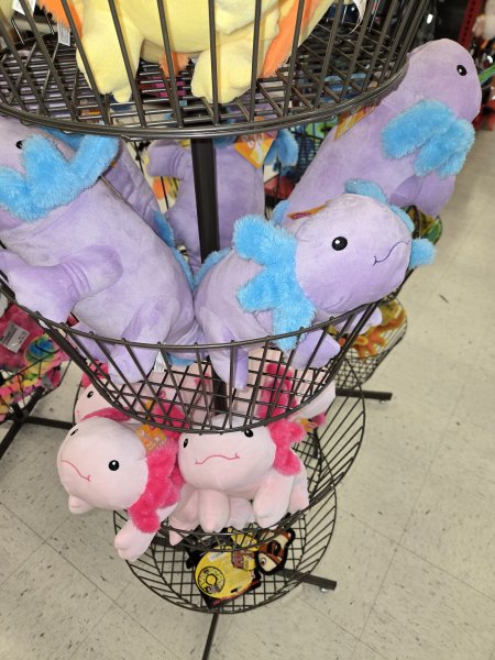 20250623_174443.jpg 20250623_174443.jpg