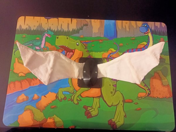 IMG20251105225241.jpg IMG20251105225241.jpg