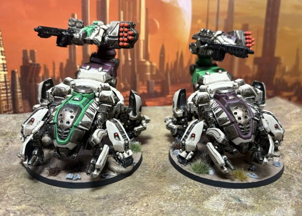 warden20251127_maghariba guard 1.jpg