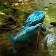 Walking Dragon-avitar.jpg