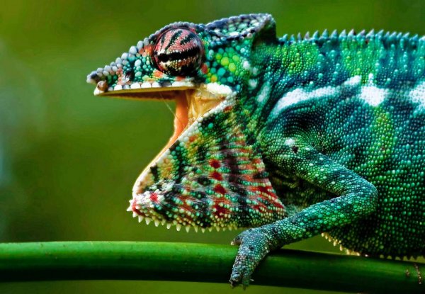 8b1b8237-02b8-45e0-917e-f6f1cb700516.jpg 8b1b8237-02b8-45e0-917e-f6f1cb700516.jpg