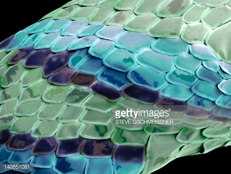 140551081.jpg 140551081.jpg