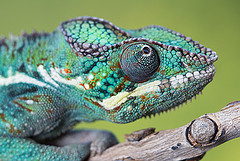 9102624319_6b7dcd864c_m.jpg 9102624319_6b7dcd864c_m.jpg