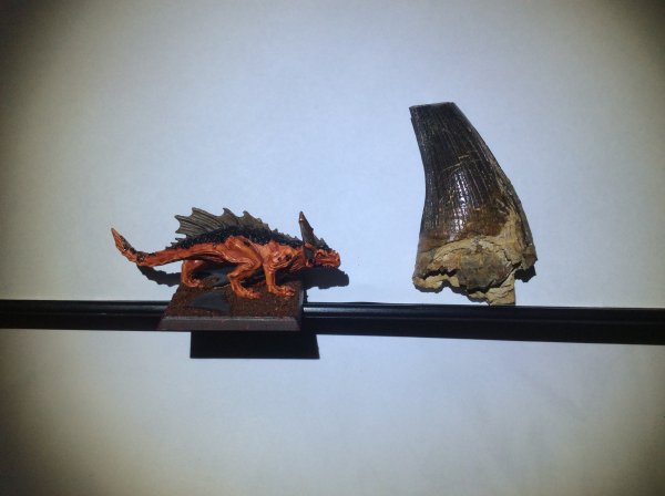 Kronosaurus Tooth 2 (1).jpeg Kronosaurus Tooth 2 (1).jpeg