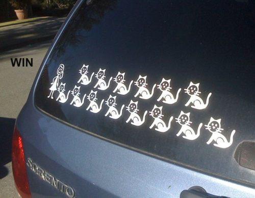 crazy cat lady.jpg