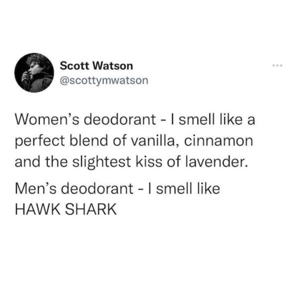 upload_2026-1-29_20-22-49.jpeg upload_2026-1-29_20-22-49.jpeg