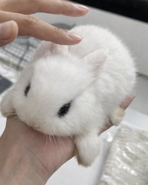 upload_2026-3-4_22-4-3.jpeg upload_2026-3-4_22-4-3.jpeg