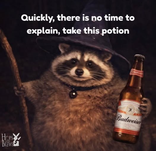 upload_2026-3-16_22-36-51.jpeg upload_2026-3-16_22-36-51.jpeg