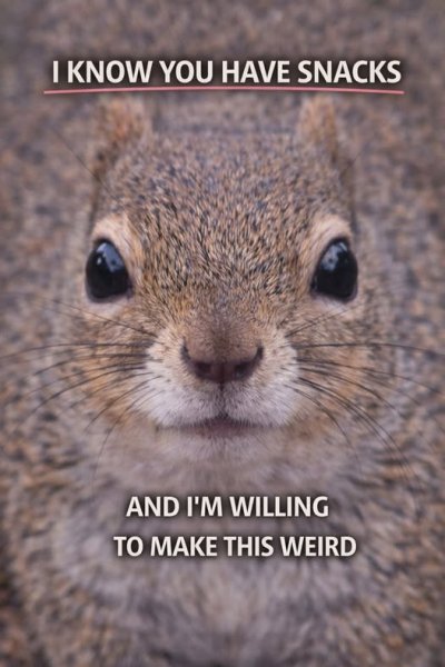 upload_2026-3-17_19-17-12.jpeg upload_2026-3-17_19-17-12.jpeg