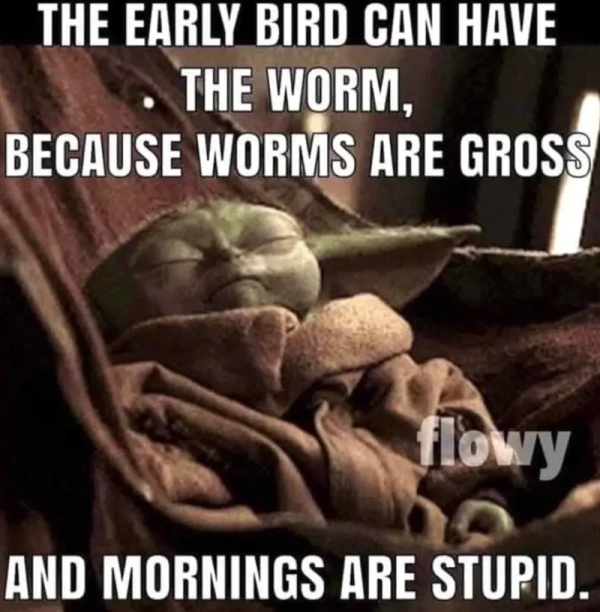 early-bird-can-have-worm-because-worms-are-gross-flowy-and-mornings-are-stupid.png