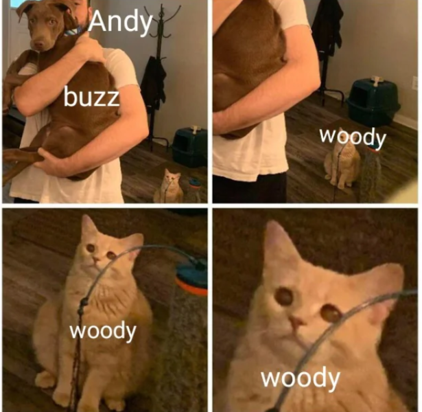 andy-buzz-woody-woody-woody.png