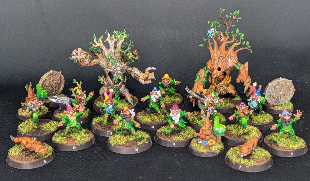 gnome-blood-bowl-team-finished-v0-st84szbt6w3d1.jpg