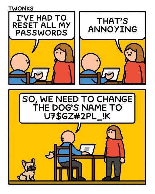 678504809_1247208694234875_7772766362434306972_n.jpg