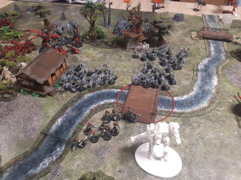 Fight 3.jpg