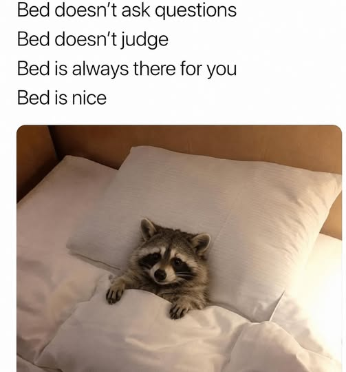 1778208572906.png