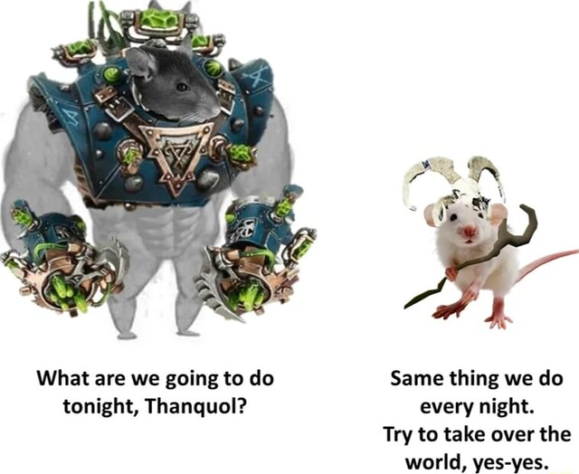 1778274968604.png