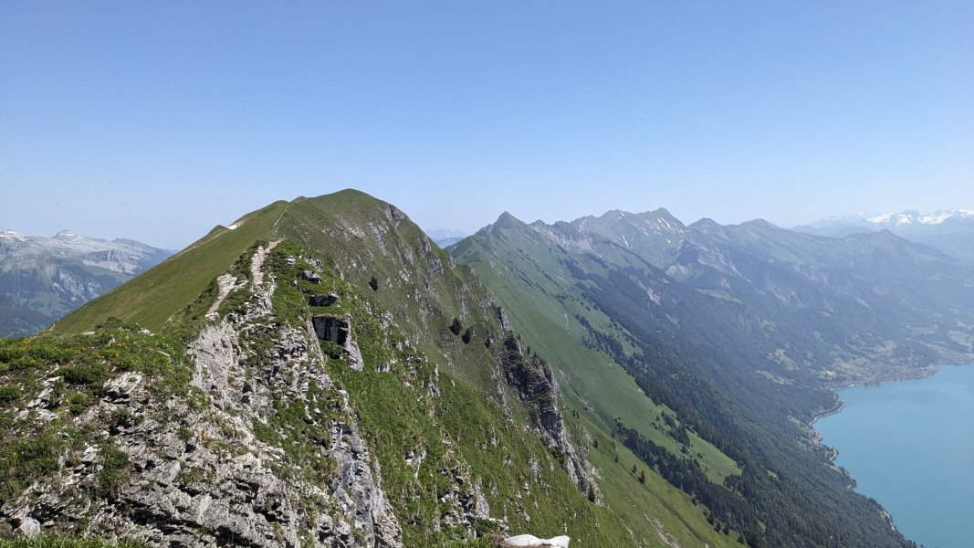 PXL_20240619_095157769.jpg