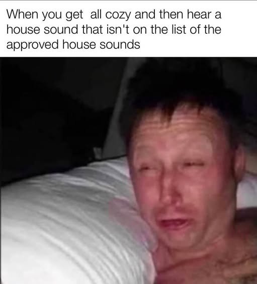 697384931_1374146321417064_1208264475554538513_n.jpg