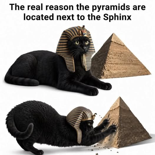 696089372_1273284835013170_114615073775757798_n.jpg