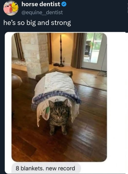 1779148037761.png