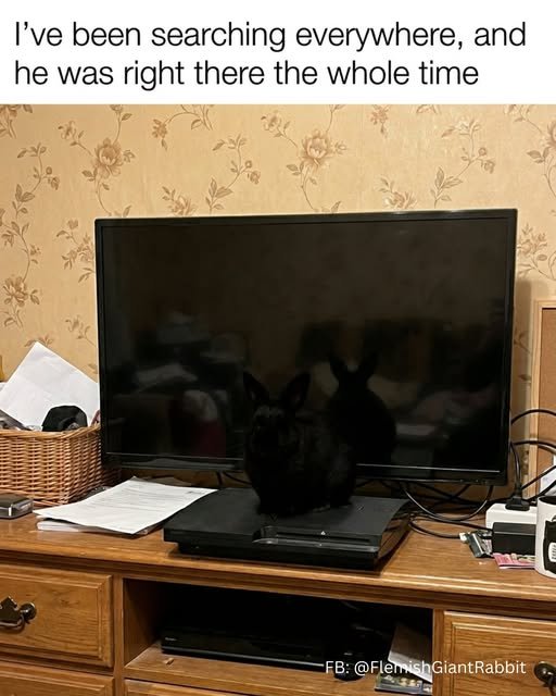 703434101_1667651358697550_8299395542206957020_n.jpg