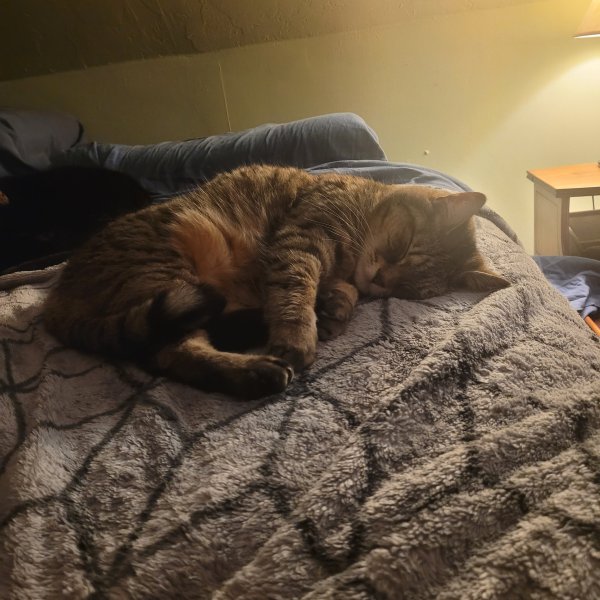 20260522_010939.jpg