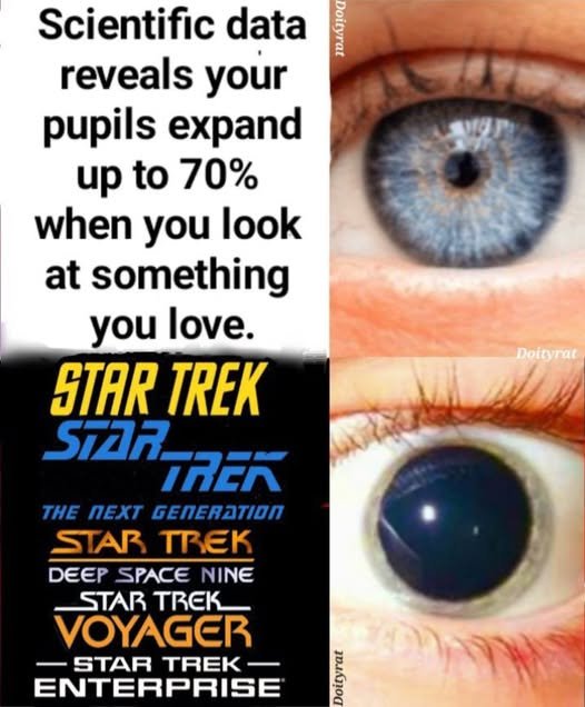702910879_990863493523706_1090765439819739321_n.jpg