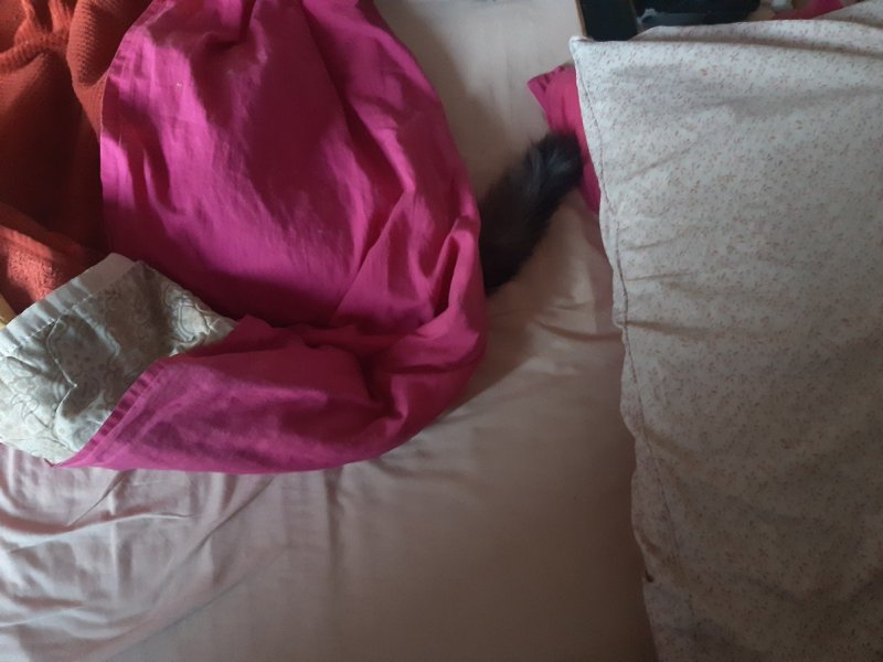 20250206_083145.jpg