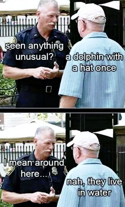704149610_10236263366584178_1321750198559056704_n.jpg