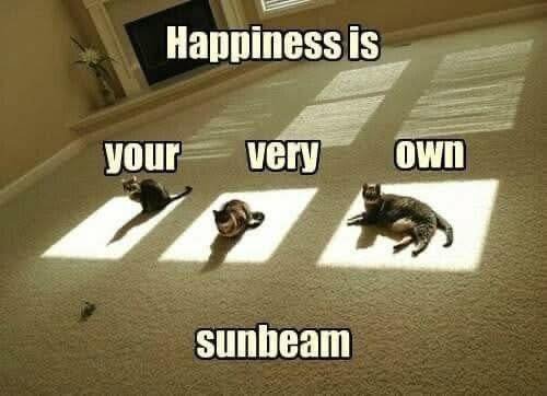 701624268_1279028051105515_6061371493963332211_n.jpg