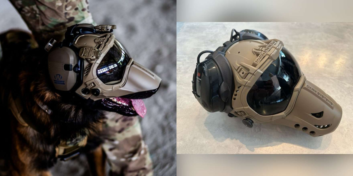 combat dog helmet.png