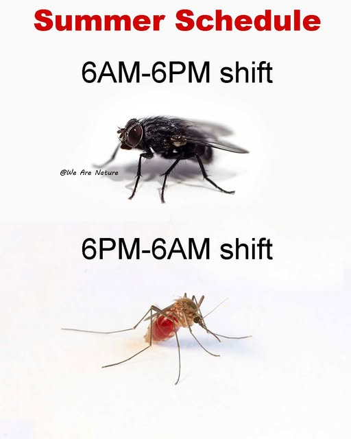 1780190322721.png