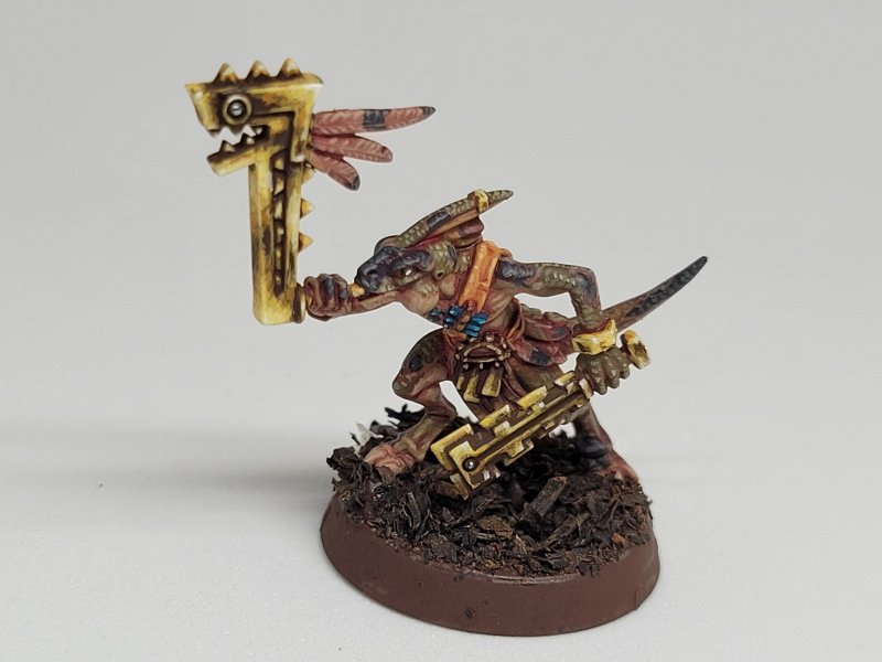 Skink musician 1.jpg